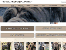 Tablet Screenshot of neapolitan.co.za